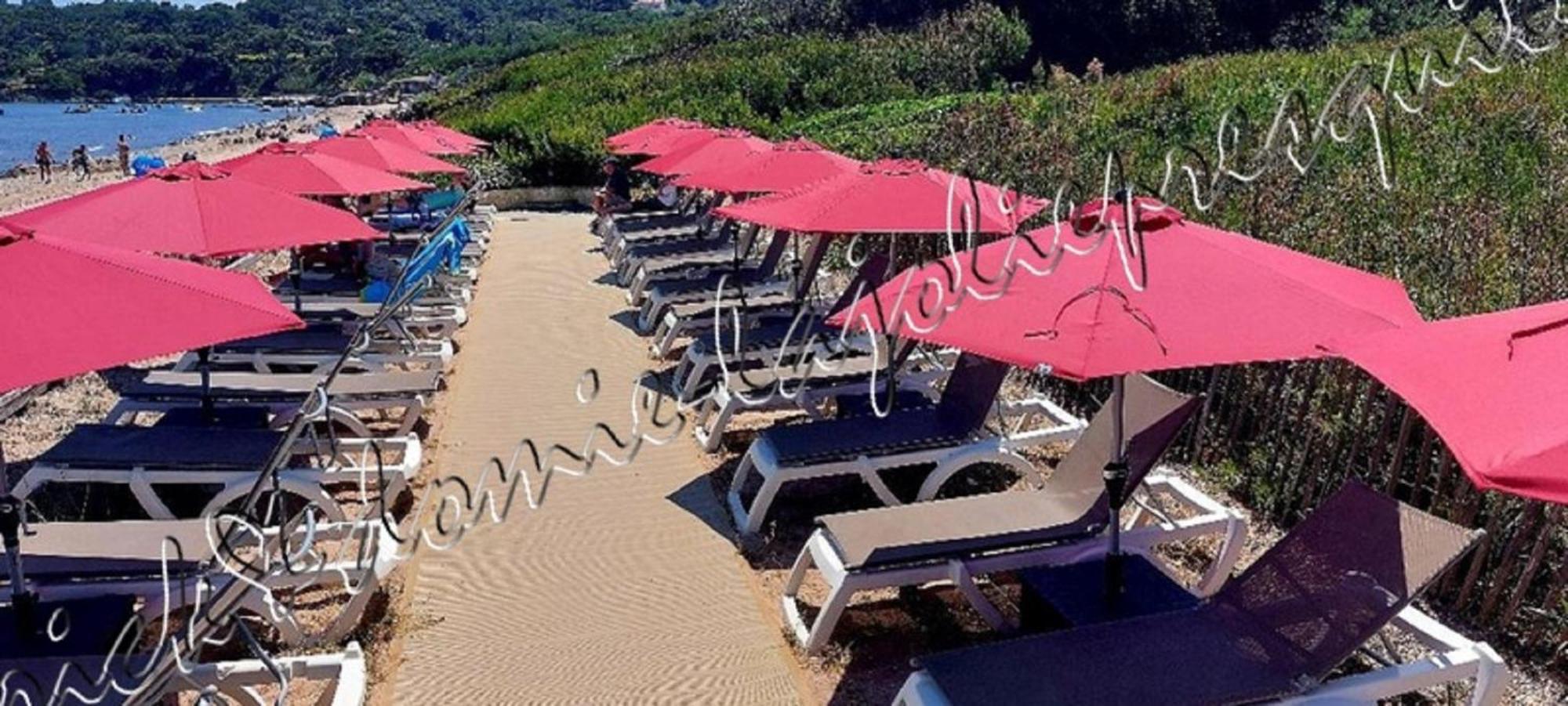 Magnifique Parc De La Presqu'Ile Avec Piscine Et Plage Face A Porquerolles ! Hyères Екстериор снимка
