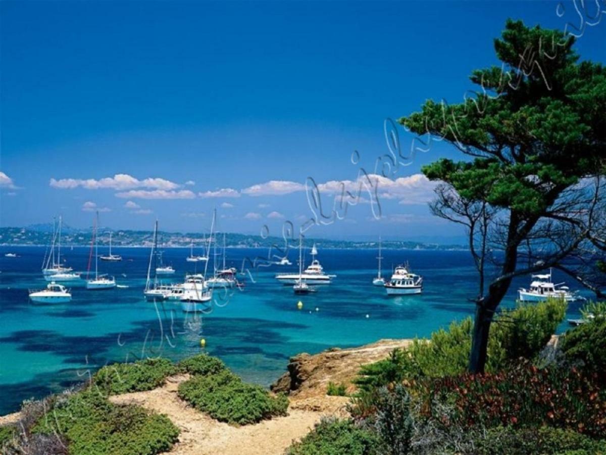 Magnifique Parc De La Presqu'Ile Avec Piscine Et Plage Face A Porquerolles ! Hyères Екстериор снимка