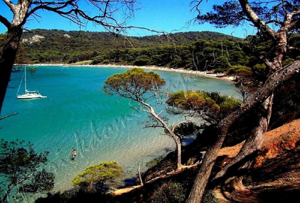 Magnifique Parc De La Presqu'Ile Avec Piscine Et Plage Face A Porquerolles ! Hyères Екстериор снимка